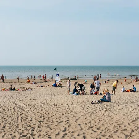 In Near The Beach, Cleaning Included