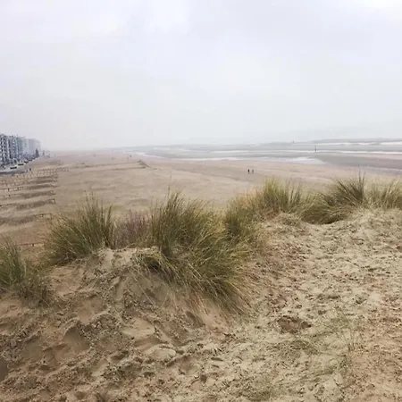 In Near The Beach, Cleaning Included