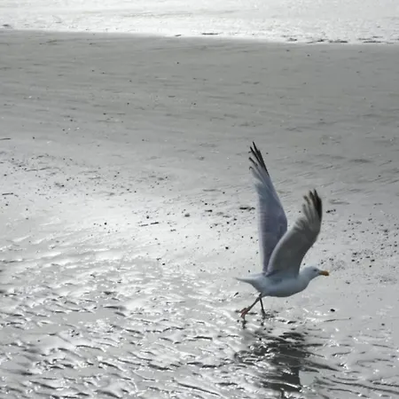 Hébergement de vacances In Near The Beach, Cleaning Included Coxyde